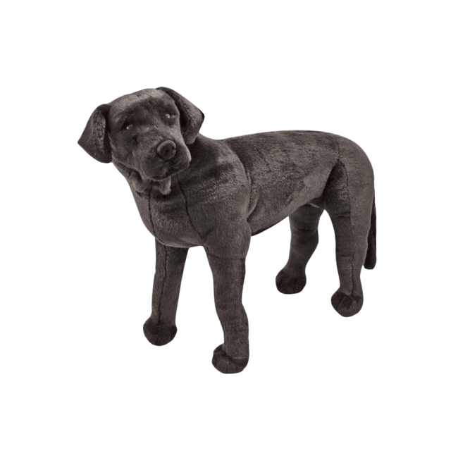 Catel labrador negru gigant din plus - okemd2117