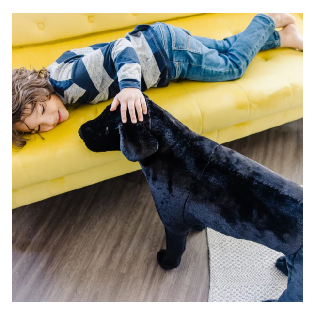Catel labrador negru gigant din plus - okemd2117