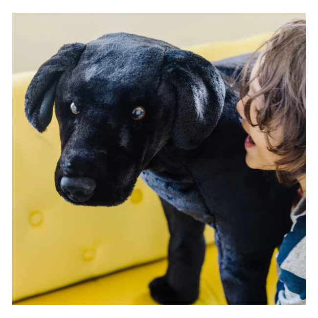 Catel labrador negru gigant din plus - okemd2117