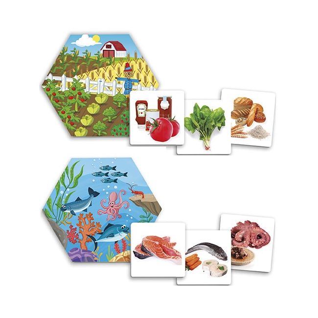 Joc pentru dezvoltarea cunostintelor despre natura: de unde provin alimentele? - okeakr20551