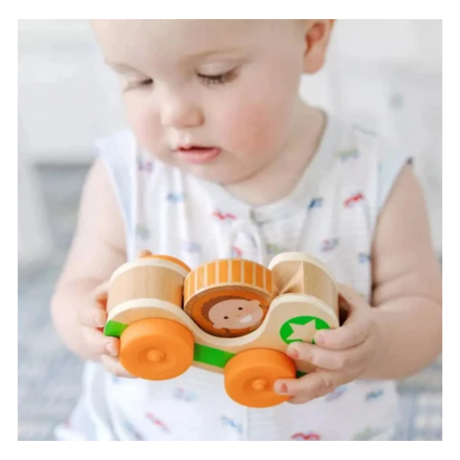 Masinuta din lemn green star colectia go tots - okemd30748