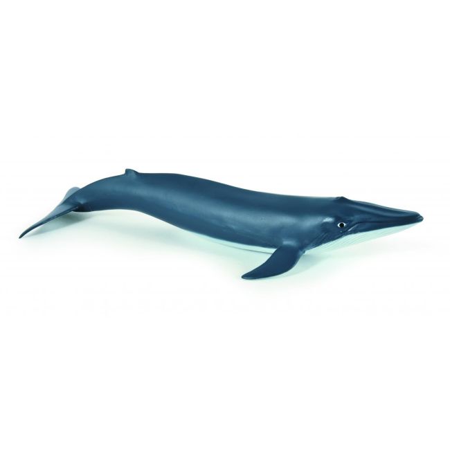 PAPO FIGURINA PUI DE BALENA ALBASTRA VIVPapo56041