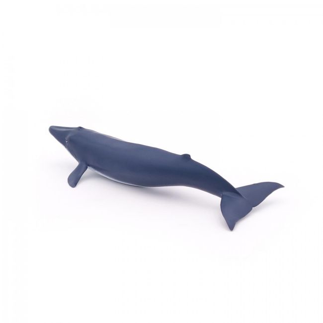 PAPO FIGURINA PUI DE BALENA ALBASTRA VIVPapo56041