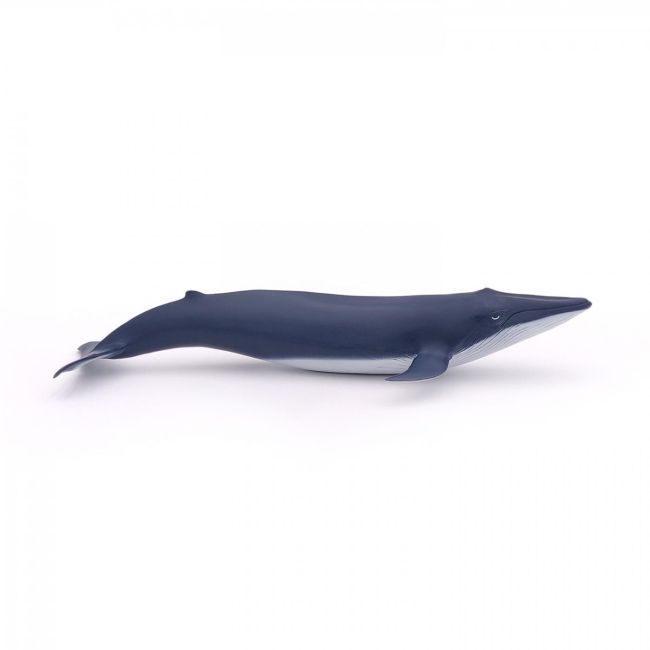 PAPO FIGURINA PUI DE BALENA ALBASTRA VIVPapo56041