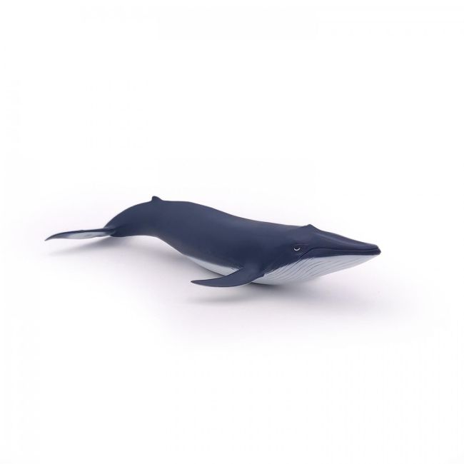 PAPO FIGURINA PUI DE BALENA ALBASTRA VIVPapo56041