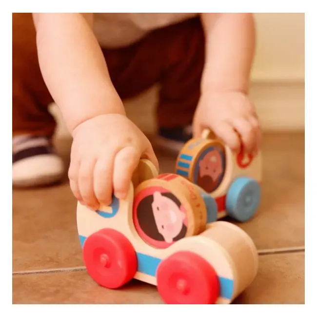 Set de doua masinute din lemn colectia go tots - okemd30737