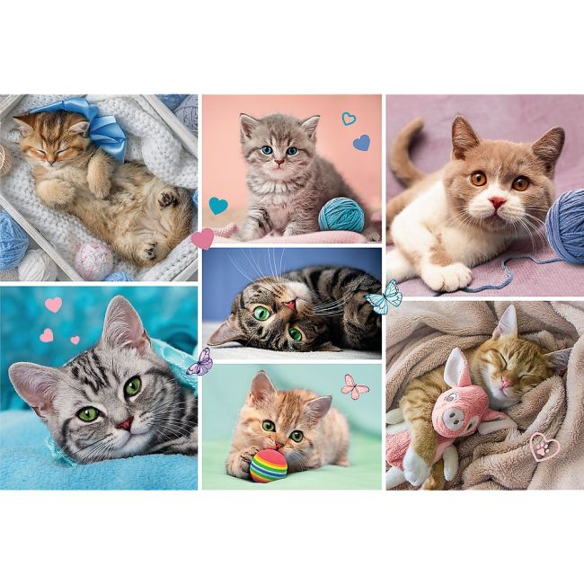 PUZZLE TREFL 100 IN LUMEA PISICILOR VIV16420