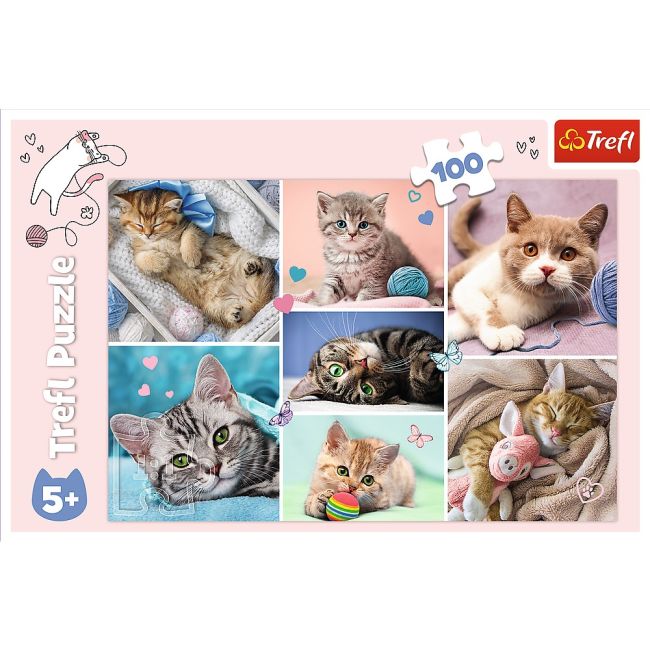 PUZZLE TREFL 100 IN LUMEA PISICILOR VIV16420