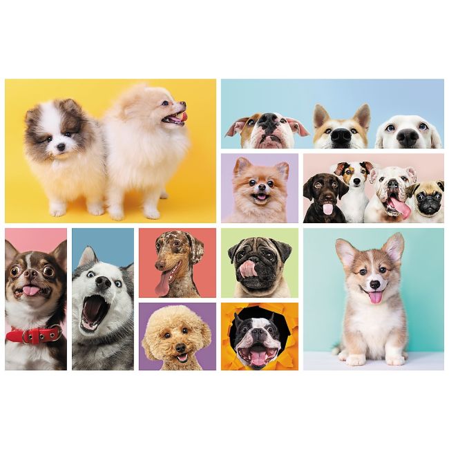 PUZZLE TREFL 160 PRIETENIA CATELUSILOR VIV15412