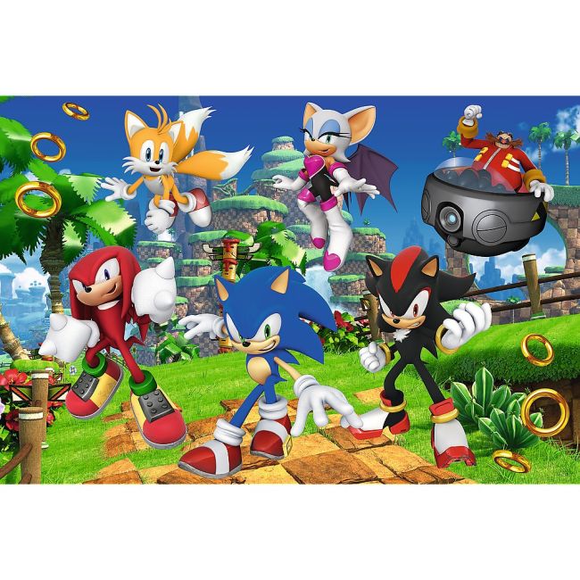 PUZZLE TREFL 160 SONIC SI PRIETENII VIV15421