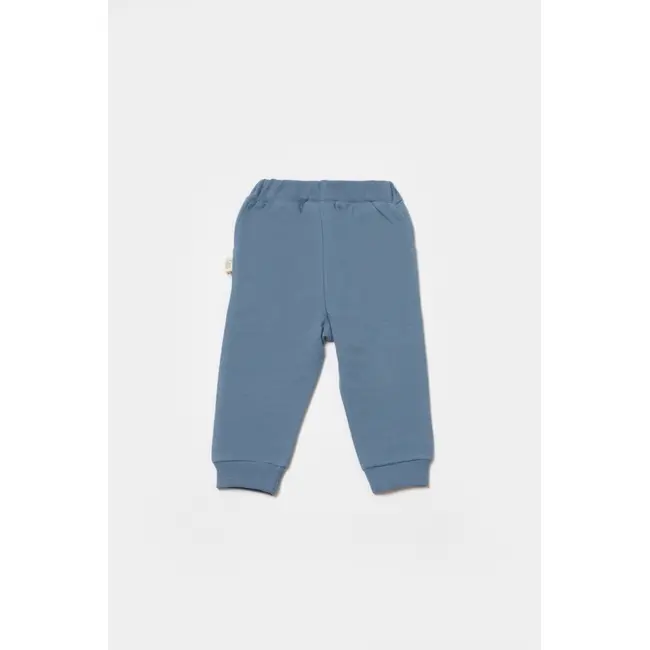 Pantaloni lungi, Two thread, 100%bumbac organic - Indigo, BabyCosy (Marime: 12-18 Luni) JEMBC-CSY8021-12