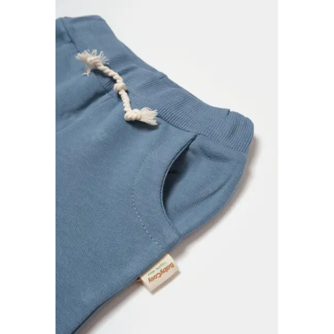 Pantaloni lungi, Two thread, 100%bumbac organic - Indigo, BabyCosy (Marime: 6-9 luni) JEMBC-CSY8021-6