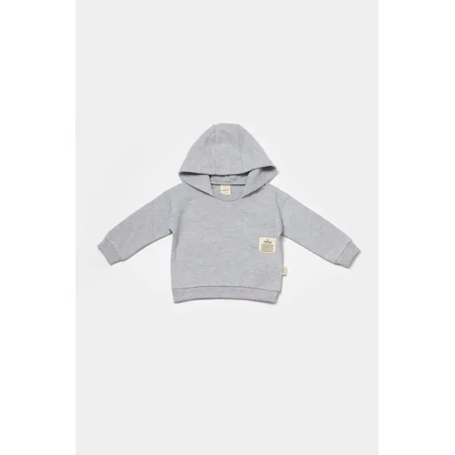 Set hanorac cu gluga si pantaloni, Two thread, 100%bumbac organic - Gri, BabyCosy (Marime: 9-12 luni) JEMBC-CSY8000-9