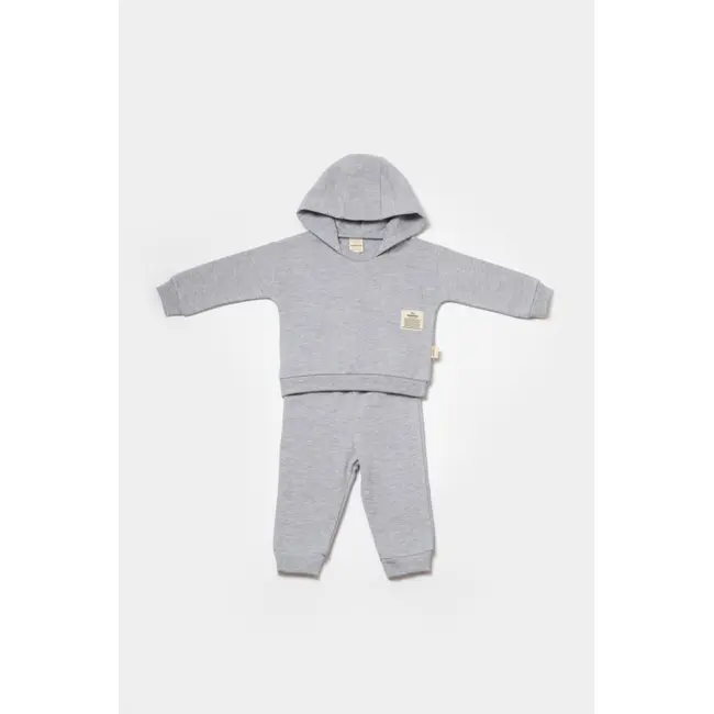 Set hanorac cu gluga si pantaloni, Two thread, 100%bumbac organic - Gri, BabyCosy (Marime: 9-12 luni) JEMBC-CSY8000-9