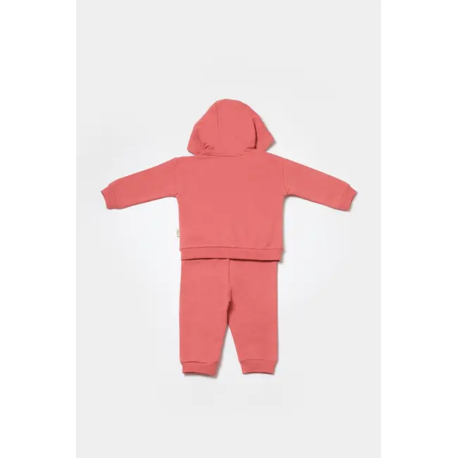 Set hanorac cu gluga si pantaloni, Two thread, 100%bumbac organic - Rose, BabyCosy (Marime: 3-6 Luni) JEMBC-CSY8002-3