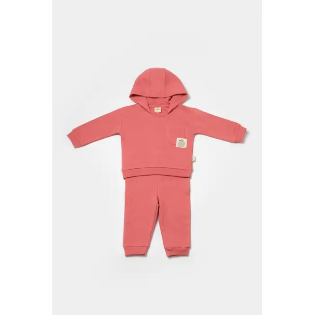 Set hanorac cu gluga si pantaloni, Two thread, 100%bumbac organic - Rose, BabyCosy (Marime: 3-6 Luni) JEMBC-CSY8002-3