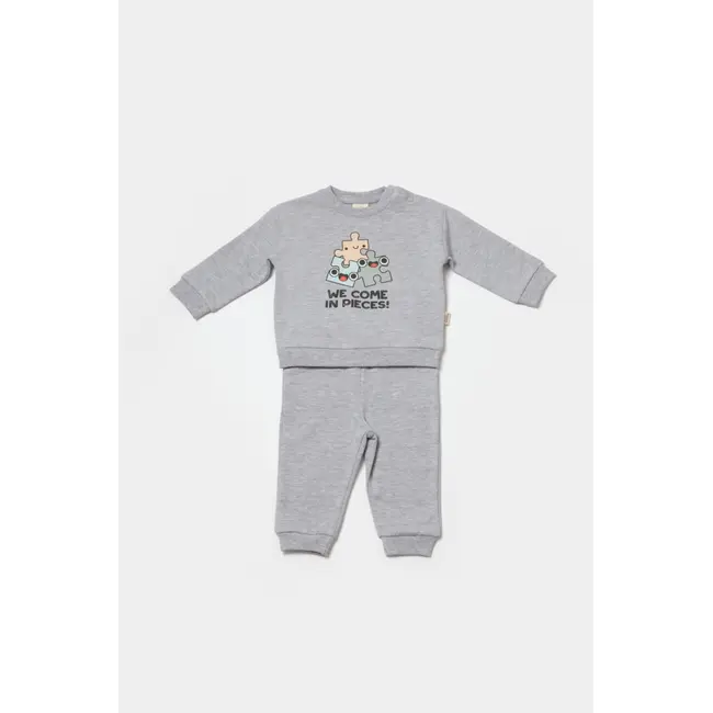 Set hanorac si pantaloni, Two thread, 100%bumbac organic - Gri, BabyCosy (Marime: 3-6 Luni) JEMBC-CSY8024-3
