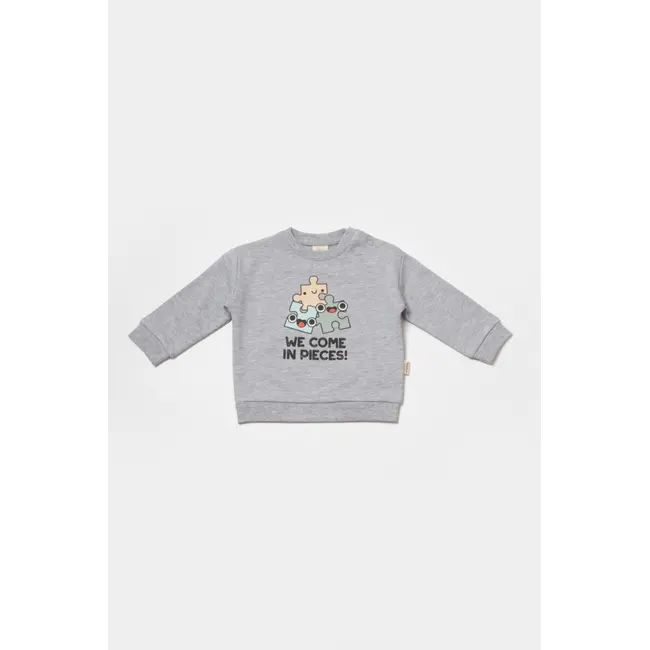 Set hanorac si pantaloni, Two thread, 100%bumbac organic - Gri, BabyCosy (Marime: 3-6 Luni) JEMBC-CSY8024-3