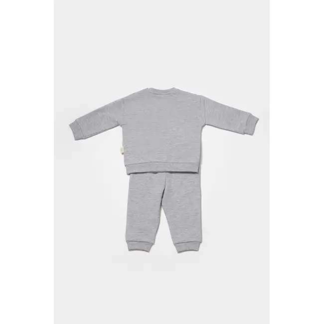 Set hanorac si pantaloni, Two thread, 100%bumbac organic - Gri, BabyCosy (Marime: 3-6 Luni) JEMBC-CSY8024-3