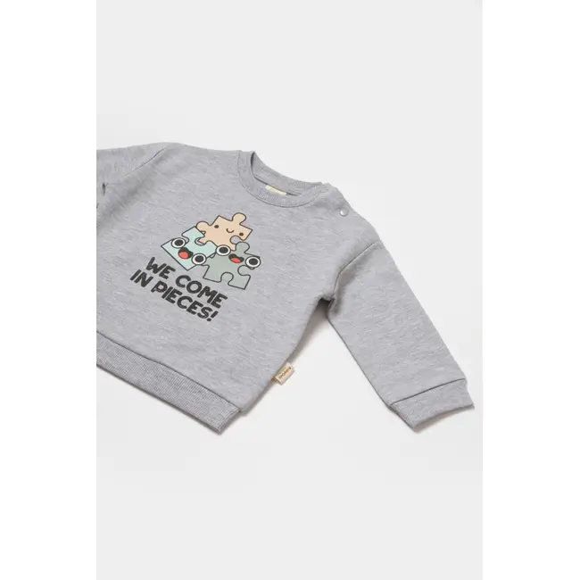 Set hanorac si pantaloni, Two thread, 100%bumbac organic - Gri, BabyCosy (Marime: 3-6 Luni) JEMBC-CSY8024-3