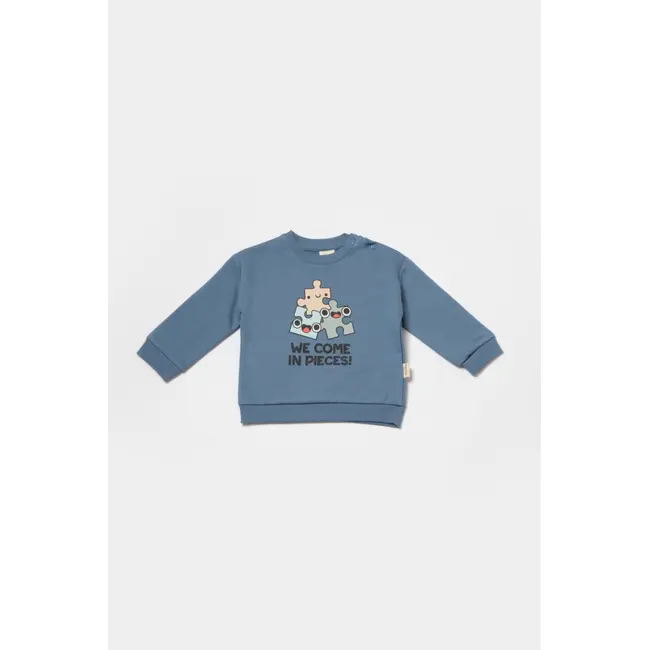 Set hanorac si pantaloni, Two thread, 100%bumbac organic - Indigo, BabyCosy (Marime: 9-12 luni) JEMBC-CSY8025-9