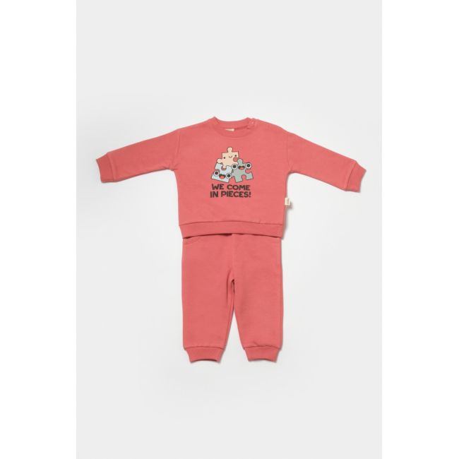 Set hanorac si pantaloni, Two thread, 100%bumbac organic - Rose, BabyCosy (Marime: 12-18 Luni) JEMBC-CSY8026-12