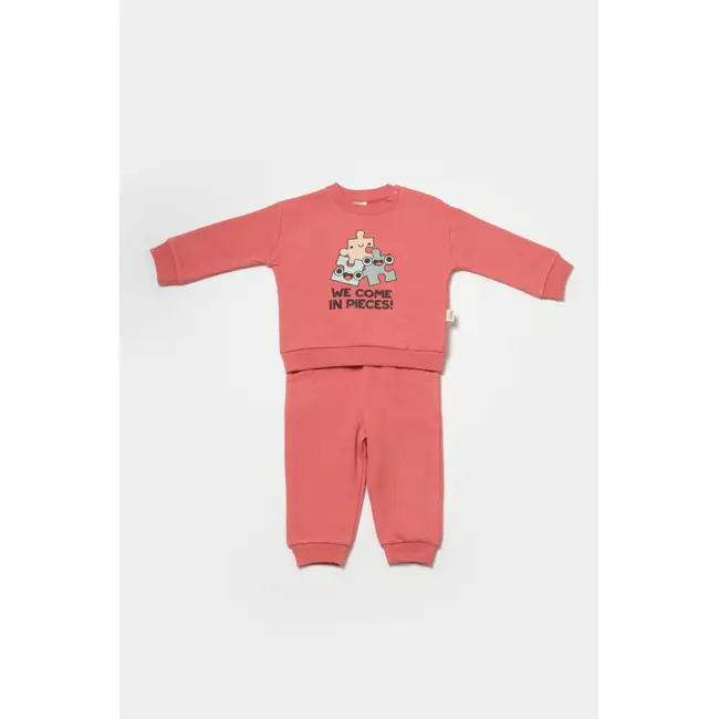 Set hanorac si pantaloni, Two thread, 100%bumbac organic - Rose, BabyCosy (Marime: 12-18 Luni) JEMBC-CSY8026-12