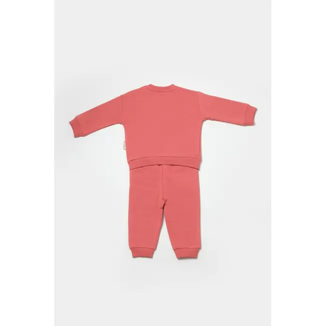 Set hanorac si pantaloni, Two thread, 100%bumbac organic - Rose, BabyCosy (Marime: 12-18 Luni) JEMBC-CSY8026-12