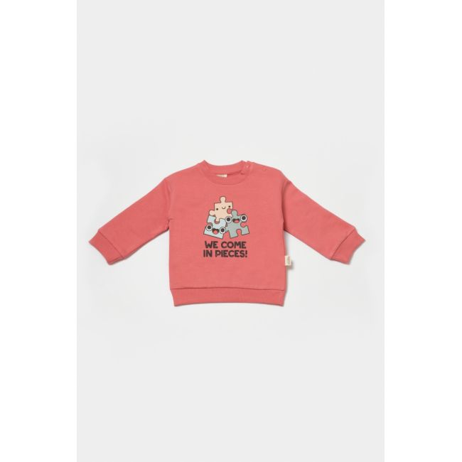 Set hanorac si pantaloni, Two thread, 100%bumbac organic - Rose, BabyCosy (Marime: 3-6 Luni) JEMBC-CSY8026-3