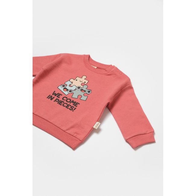 Set hanorac si pantaloni, Two thread, 100%bumbac organic - Rose, BabyCosy (Marime: 3-6 Luni) JEMBC-CSY8026-3
