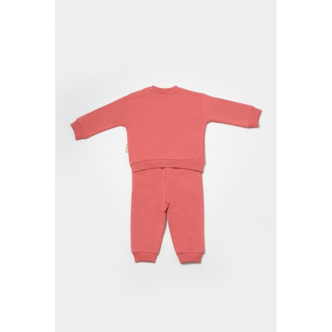 Set hanorac si pantaloni, Two thread, 100%bumbac organic - Rose, BabyCosy (Marime: 9-12 luni) JEMBC-CSY8026-9