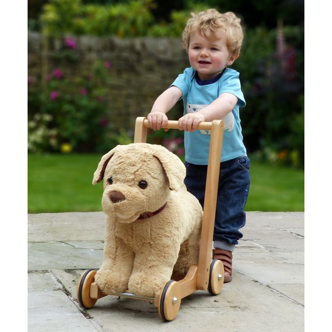 Little Bird Told Me - Dexter Dog Walker, Push Along  Ride On Toy Pentru Copii De Peste 1 An, Golden Labrador Caine Pufos Pentru Copii Mici, Cadru Robust Din Lemn, Scaun Captusit Pjblb3052
