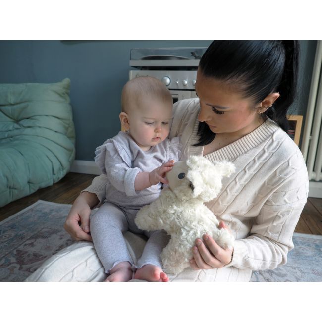 Little Bird Told Me - Lambert Sheep Pull Along Toy Cu Roti Detasabile, Pentru Copii Pjblb3113
