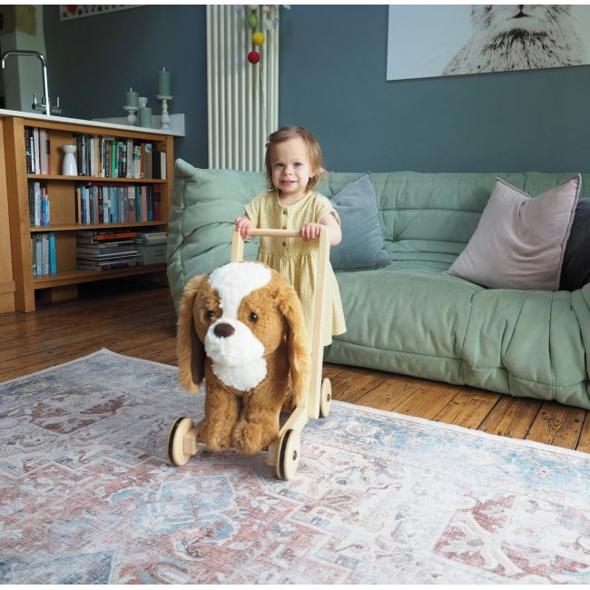Little Bird Told Me - Peanut Pup Walker, Push Along  Ride On Toy Pentru Copii De Peste 1 An, King Charles Spaniel Caine Pufos Pentru Copii Mici, Cadru Robust Din Lemn, Scaun Captusit Pjblb3110
