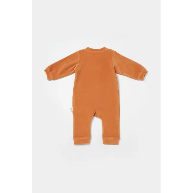 Salopeta Elefant cu maneca lunga din 80%bumbac organic si 20% poliester - Caramiziu, BabyCosy (Marime: 3-6 Luni) JEMBC-CSYK6054-3