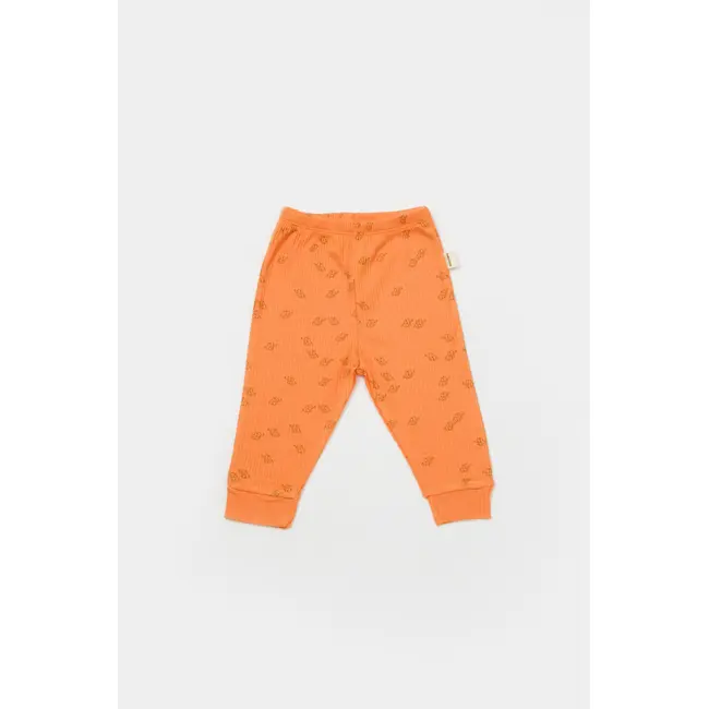 Set 2 pantalonasi Printed, BabyCosy, 50% modal+50% bumbac, Stone/Apricot (Marime: 12-18 Luni) JEMCSYM11619-12