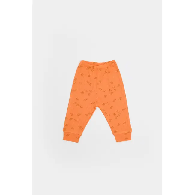 Set 3 piese:bluza, pantaloni si caciulita Printed, BabyCosy, 50% modal+50% bumbac, Apricot (Marime: 3-6 Luni) JEMBC-CSYM25505-3