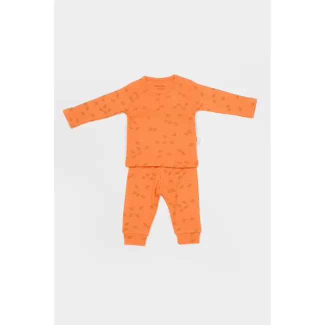 Set 3 piese:bluza, pantaloni si caciulita Printed, BabyCosy, 50% modal+50% bumbac, Apricot (Marime: 3-6 Luni) JEMBC-CSYM25505-3