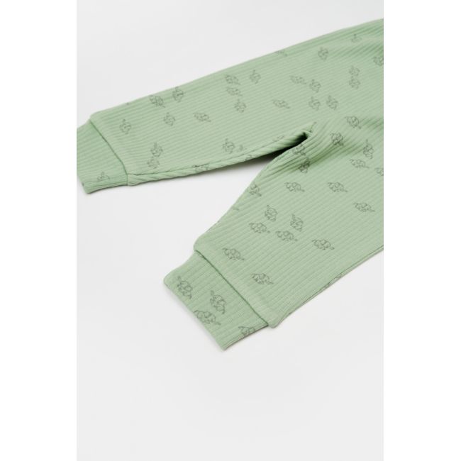 Set 3 piese:bluza, pantaloni si caciulita Printed, BabyCosy, 50% modal+50% bumbac, Verde (Marime: 12-18 Luni) JEMBC-CSYM25503-12