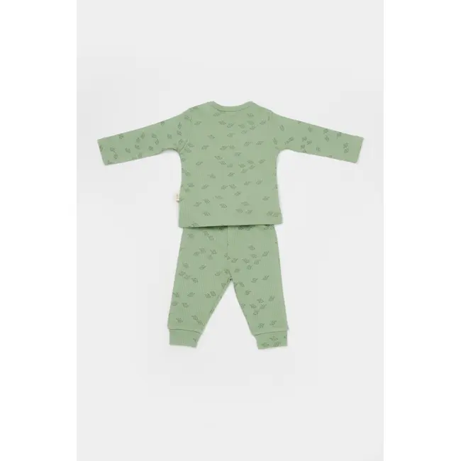 Set 3 piese:bluza, pantaloni si caciulita Printed, BabyCosy, 50% modal+50% bumbac, Verde (Marime: 3-6 Luni) JEMBC-CSYM25503-3