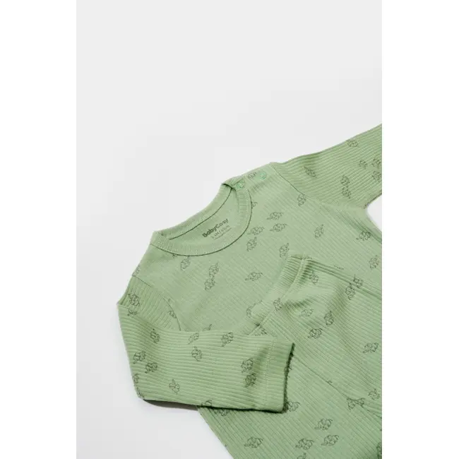 Set 3 piese:bluza, pantaloni si caciulita Printed, BabyCosy, 50% modal+50% bumbac, Verde (Marime: 6-9 luni) JEMBC-CSYM25503-6