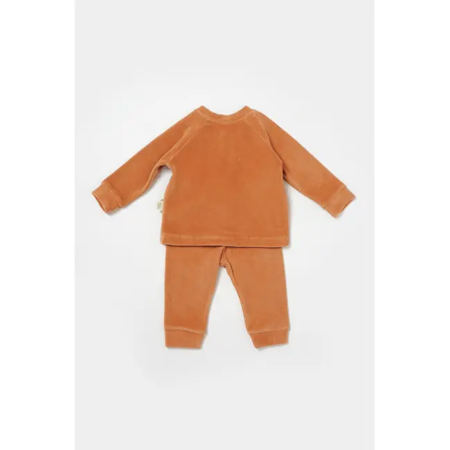 Set bluzita si pantaloni Elefant, 80%bumbac organic si 20% poliester - Caramiziu, BabyCosy (Marime: 12-18 Luni) JEMBC-CSYK6049-12