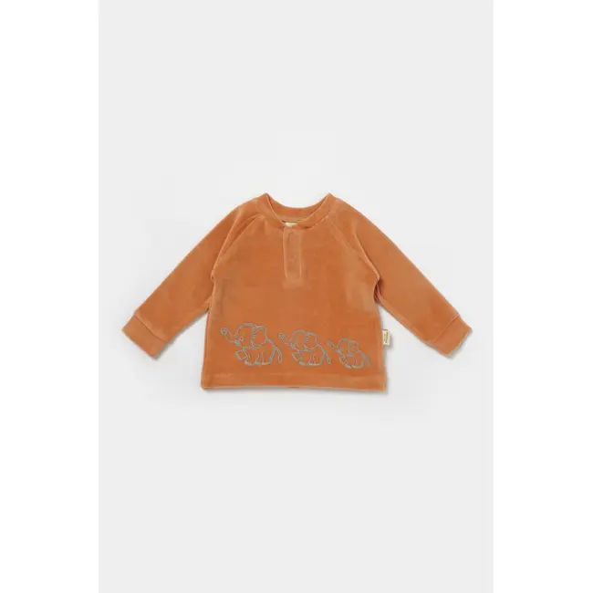 Set bluzita si pantaloni Elefant, 80%bumbac organic si 20% poliester - Caramiziu, BabyCosy (Marime: 12-18 Luni) JEMBC-CSYK6049-12