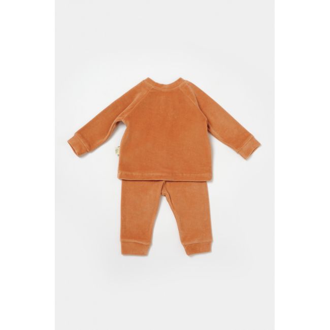 Set bluzita si pantaloni Elefant, 80%bumbac organic si 20% poliester - Caramiziu, BabyCosy (Marime: 3-6 Luni) JEMBC-CSYK6049-3