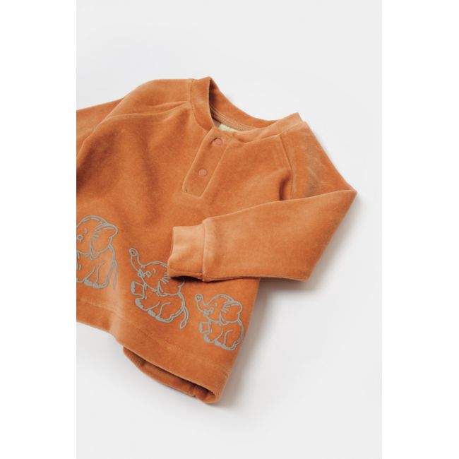 Set bluzita si pantaloni Elefant, 80%bumbac organic si 20% poliester - Caramiziu, BabyCosy (Marime: 6-9 luni) JEMBC-CSYK6049-6