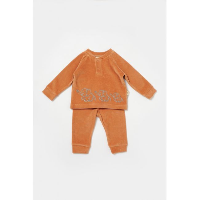 Set bluzita si pantaloni Elefant, 80%bumbac organic si 20% poliester - Caramiziu, BabyCosy (Marime: 6-9 luni) JEMBC-CSYK6049-6