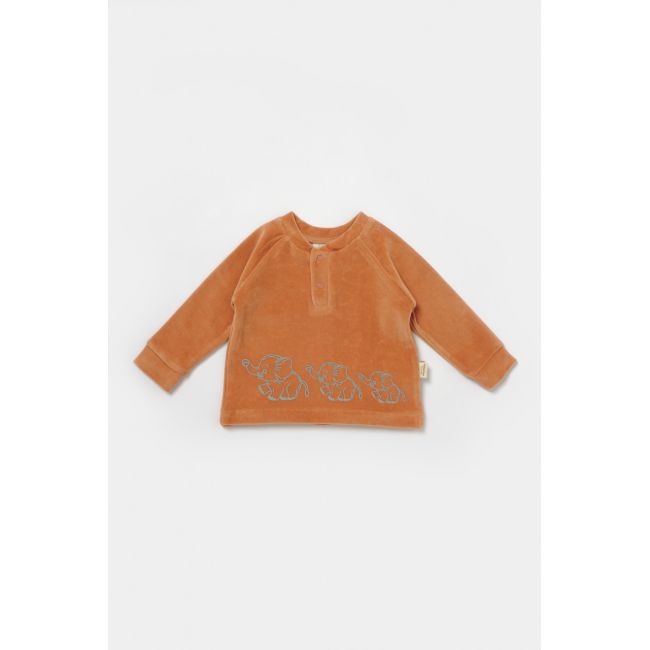 Set bluzita si pantaloni Elefant, 80%bumbac organic si 20% poliester - Caramiziu, BabyCosy (Marime: 9-12 luni) JEMBC-CSYK6049-9