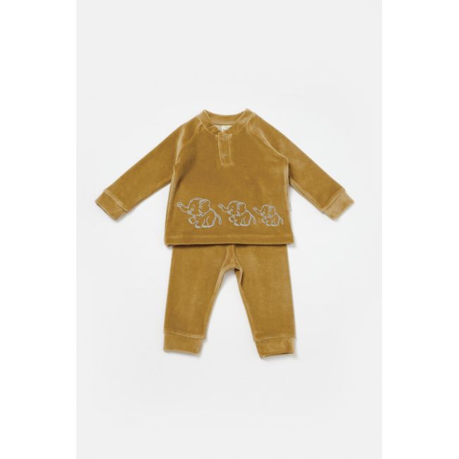 Set bluzita si pantaloni Elefant, 80%bumbac organic si 20% poliester - Mustar, BabyCosy (Marime: 18-24 Luni) JEMBC-CSYK6050-18