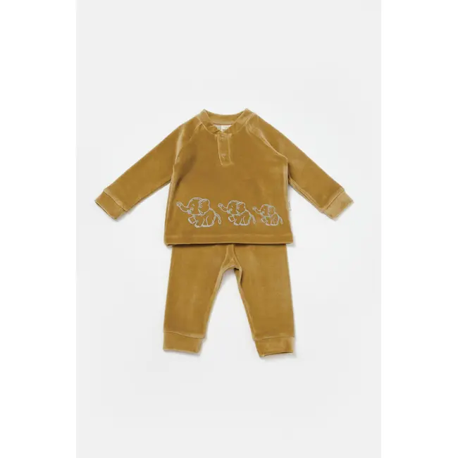 Set bluzita si pantaloni Elefant, 80%bumbac organic si 20% poliester - Mustar, BabyCosy (Marime: 6-9 luni) JEMBC-CSYK6050-6