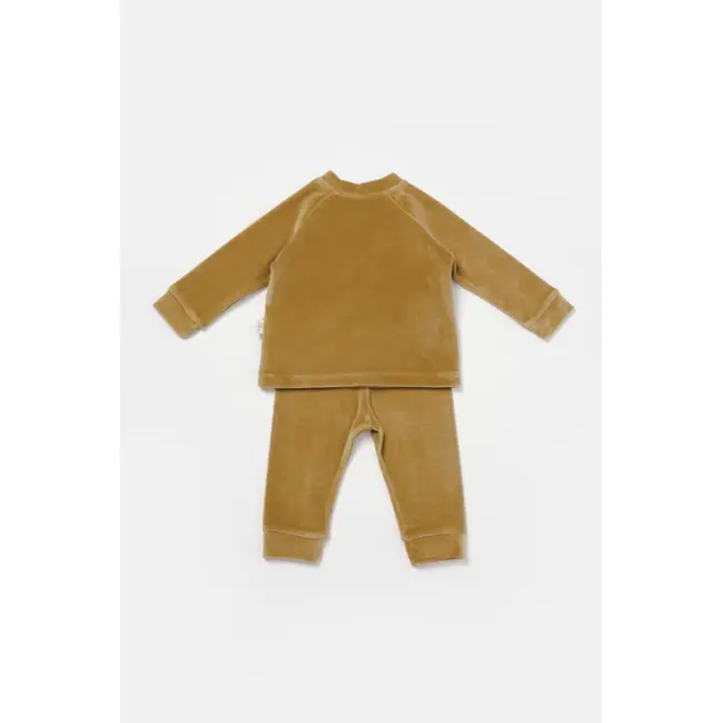 Set bluzita si pantaloni Elefant, 80%bumbac organic si 20% poliester - Mustar, BabyCosy (Marime: 6-9 luni) JEMBC-CSYK6050-6